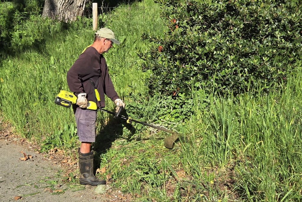 Tim going after the weeds!